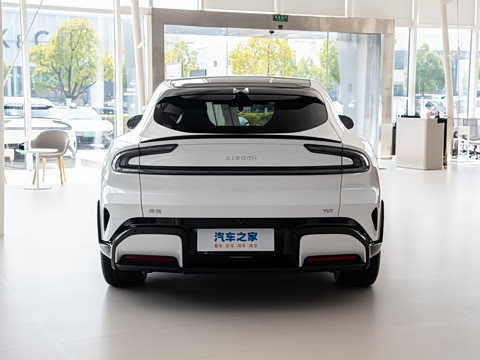 2025�� ������������Pro��