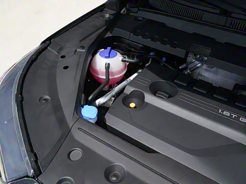 2025�� 290TGDI DCT����� 