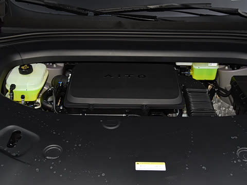 2026�� ���� Pro+������ 5��