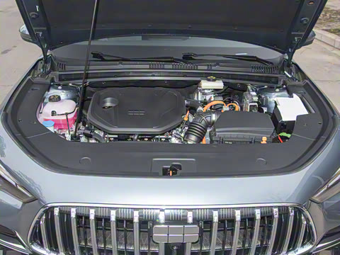 2026�� 60km̽����