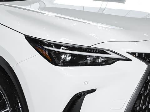 2025�� 350h JOY X