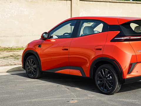 2026�� 305km ���ɰ�