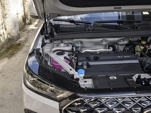 2025�� 290TGDI DCT���ư�