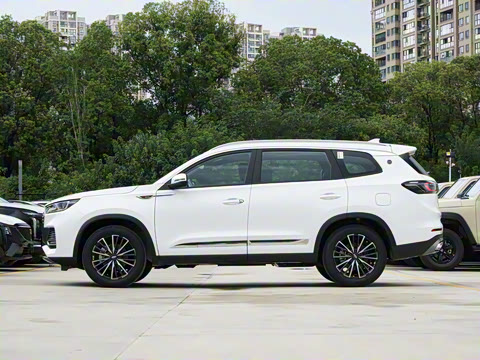 2025�� 290TGDI DCT����� 