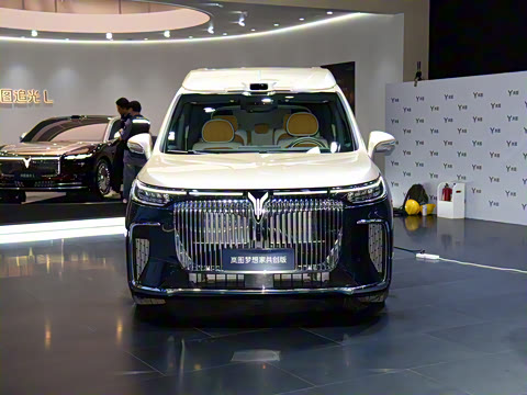 2025�� PHEV �����߶���