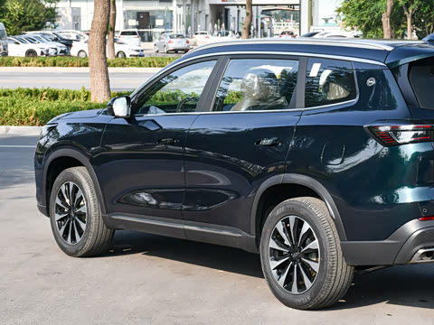 2025�� 290TGDI DCT���ư� 7��