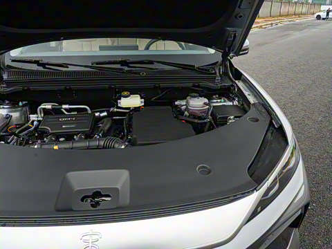 2026�� DM-i 133KM��Խ��