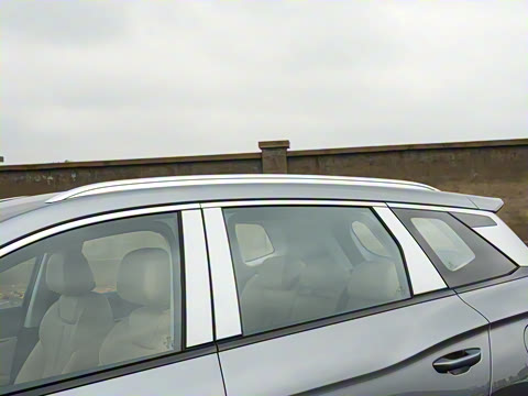 2026�� DM-i 133KM��Խ��