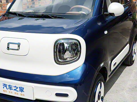 2026�� 222km ��ҫ��