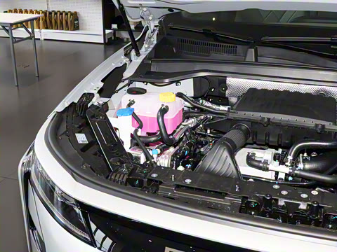 2026�� ���� 120����������