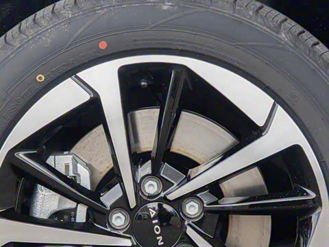 2025�� Plus 510 �Ǻ���