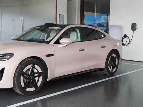 2026�� Max