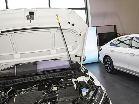 2026�� ���� 1.5L ������Ը��