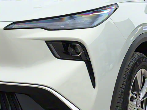 2025�� 565km ������