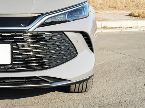 2026�� DM-i 210KM��Խ��