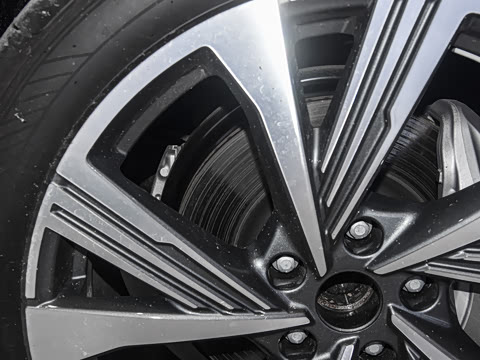 2026�� ����������