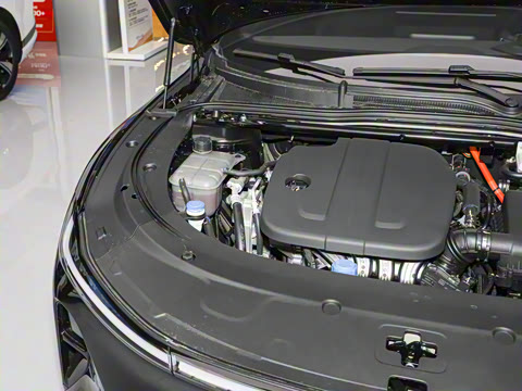 2026�� �����������̰� 310�콢��