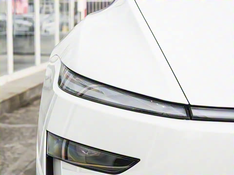 2026�� ������ȫ��������