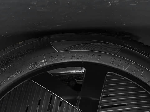 2026�� 501km ���а�