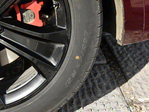 2026�� ���� Pro+������ 6��