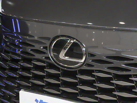 2025�� 300 ����������