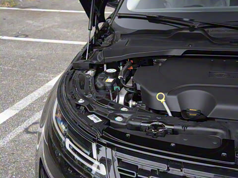 2026�� ��ʤ���� L SE