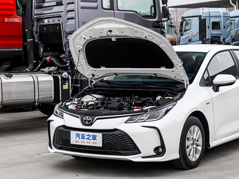 2025�� 1.8L ���ܵ��˫�� �ȷ��