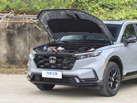 2026�� ȫ��30����ҫ�� 2.0L e:HEV ����������