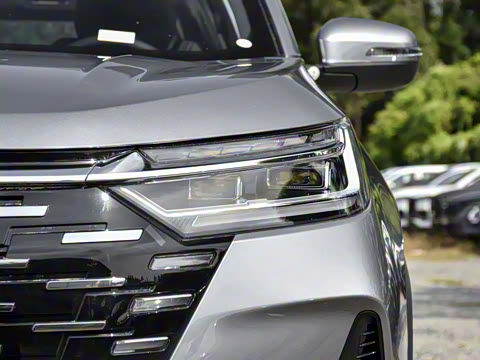 2025�� 290T ��������+