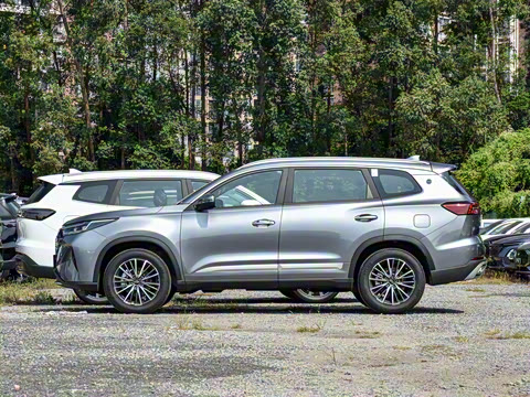 2025�� 290T ��������+