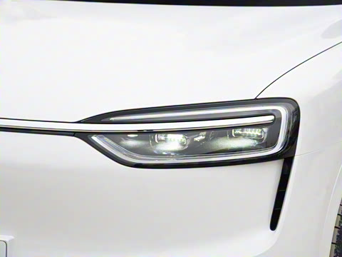 2026�� ���� Max������ 5��