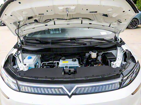 2026�� ��ƽ�� ������������