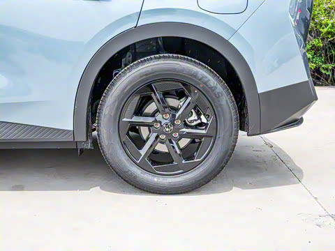 2026�� ��ƽ�� ������������