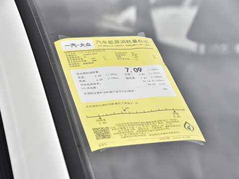 2026�� 280TSI �Զ��ȷ��