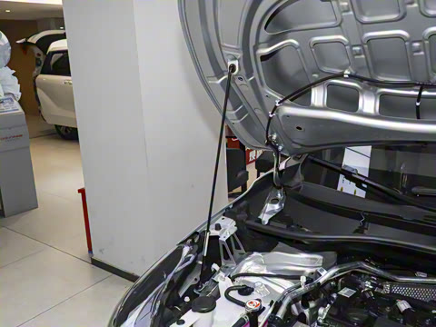 2026�� 2.0L CVT����PLUS��