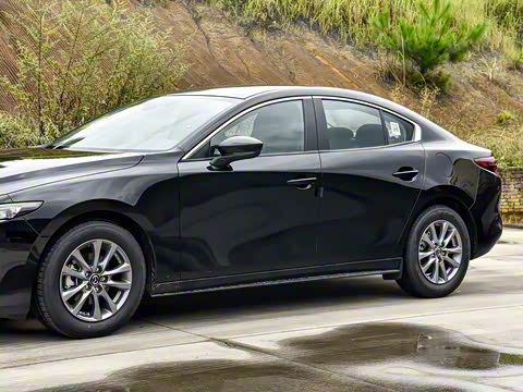 2025�� 1.5L �ֶ�������