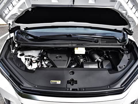 2025�� 500h ��������