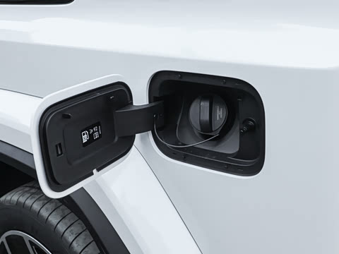 2025�� �����״��