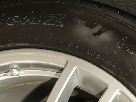 2025�� Cayenne 3.0T ���ΰ�