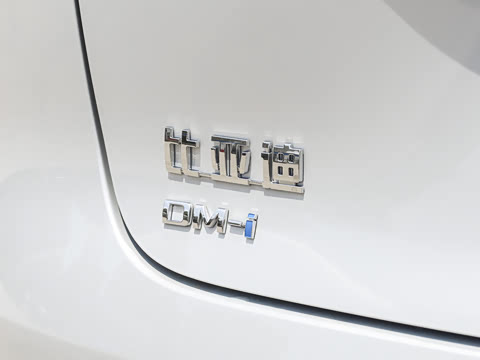 2026�� DM-i 305�캽��