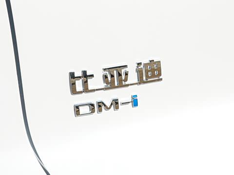 2026�� DM-i 220KM��Խ��