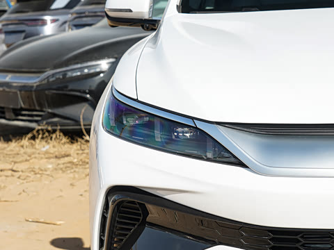 2026�� DM-i 220KM��Խ��