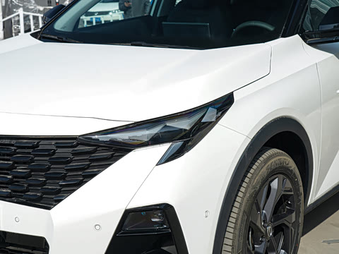 2026�� Ӱ�� 270T ���ǰ� ƽ������