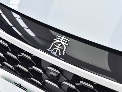 2026�� DM-i 210KM��ȡ��