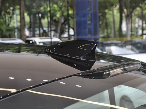 2025�� 25T ������