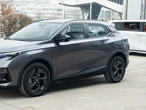 2026�� Ӱ�� 270T ������