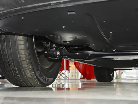 2025�� 565km �����