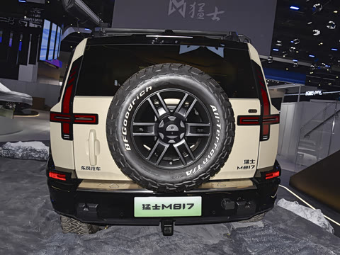 2025�� Max+