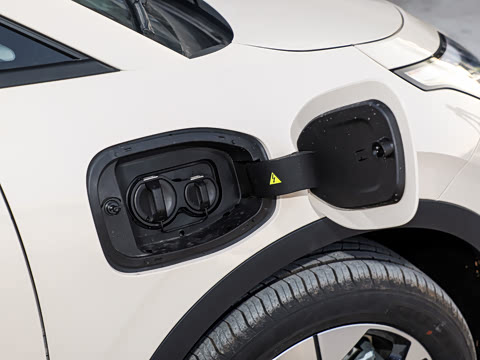 2026�� ������