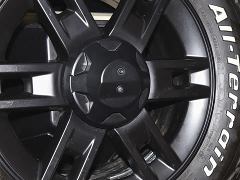 2025�� Max+